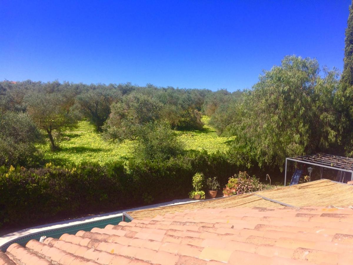 Villa Ferrer Sevilla Ginés Esterno foto