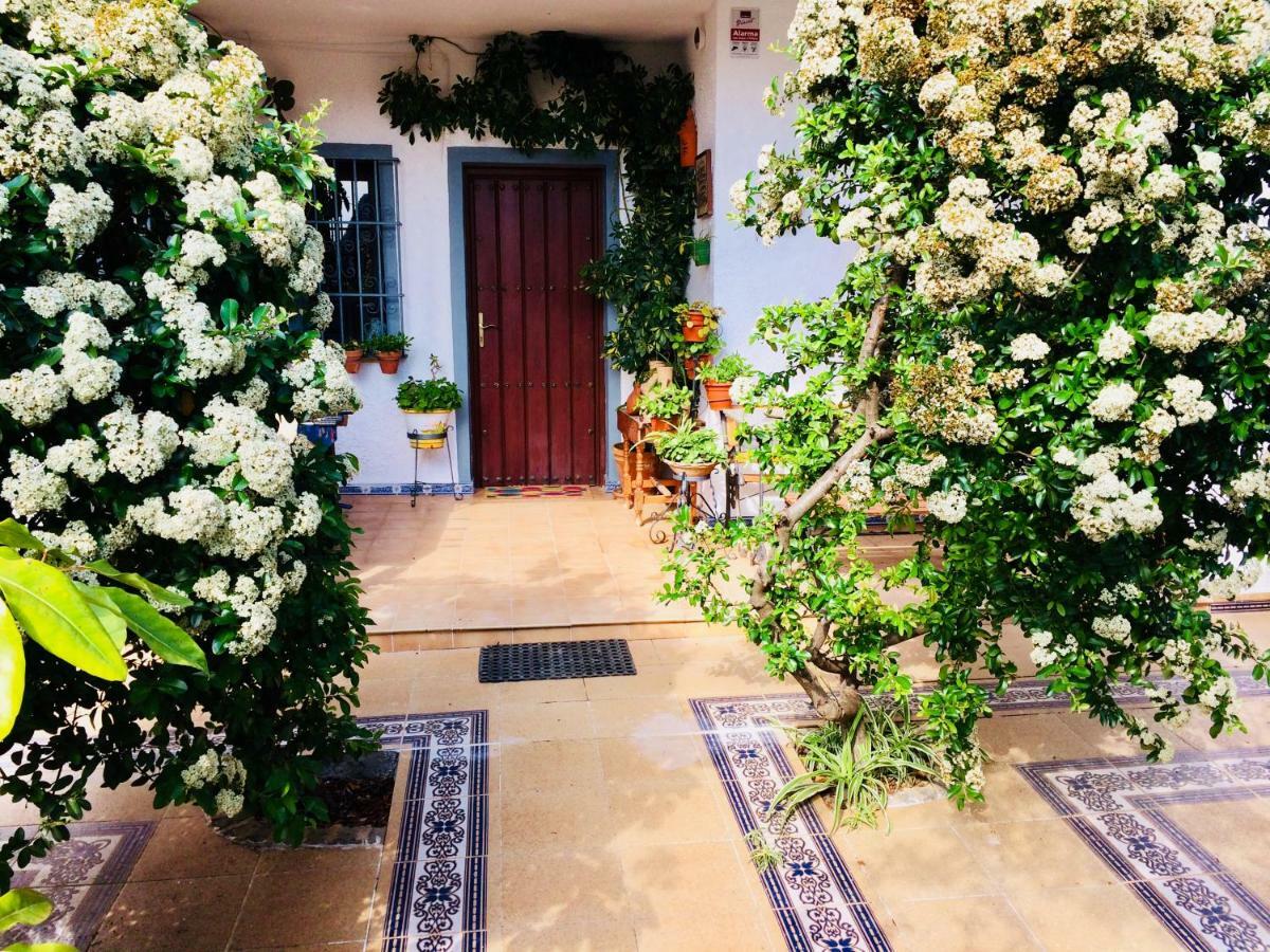 Villa Ferrer Sevilla Ginés Esterno foto